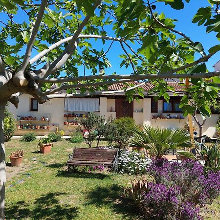 Garden Rooms Olbia Exterior photo