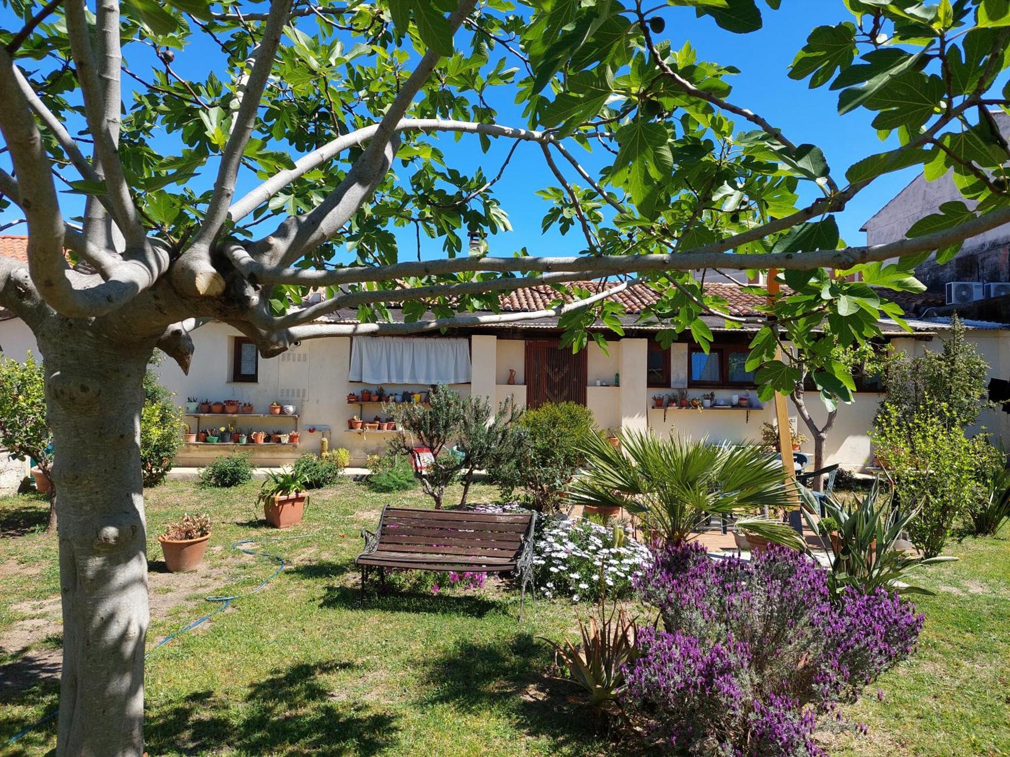 Garden Rooms Olbia Exterior photo